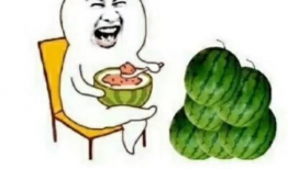 娱乐圈吃瓜模板,明星们的“意外”瞬间，笑料百出！