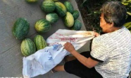 来凤吃瓜最新事件爆料,最新爆料揭露惊人内幕